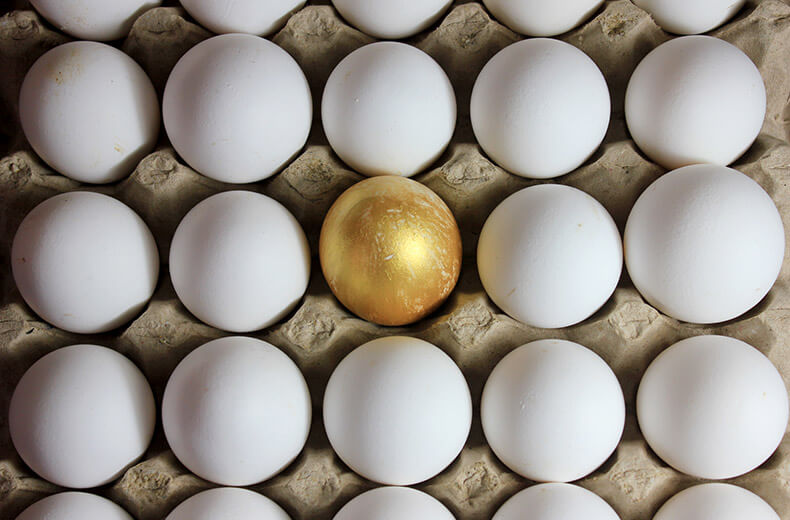 L'oeuf d'or au commencement